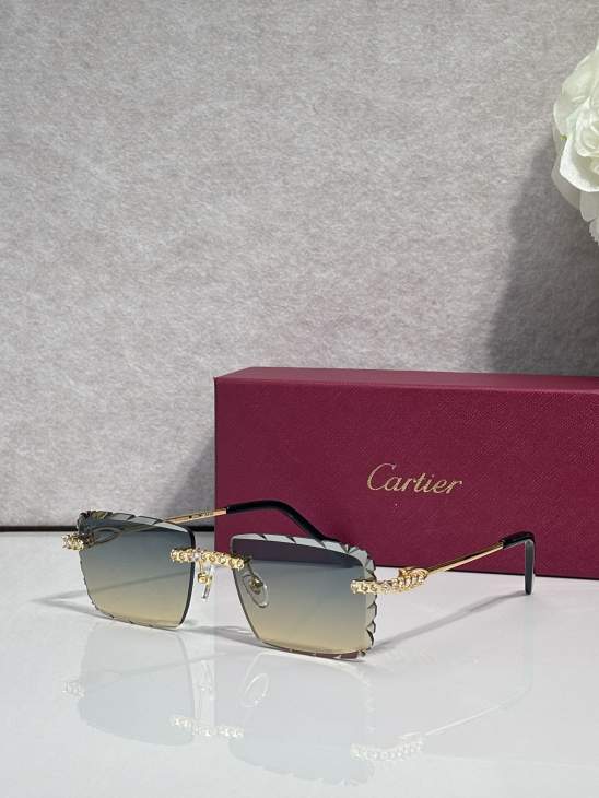 Picture of Cartier Sunglasses _SKUfw80238820fw